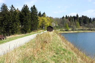 Stadtweger Teich Oberharzer Wasserwirtschaft Bilder